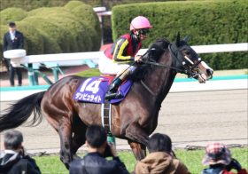 JRA「悪夢再び？」ダンビュライト大暴れを陣営も心配か……ジャパンCでちゃんと走れれば……