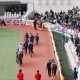 JRA「単勝229倍」ピンハイ激走は当然!? 昨年フィリーズレビュー(G2)も11番人気3着好走…驚異的「阪神キラー」あの種牡馬に要注意!