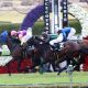 JRA「8億円」高額馬キラーの豪脚一閃! 大外一気33秒3のゴボウ抜き、「26年目の苦労人」がキャリア初のダービー参戦に望み