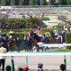 JRA有馬記念(G1)“落選”ジョッキーで明暗くっきり!? 暮れの名物レースで「9馬身差」衝撃。「ペースを落とし過ぎた」期待の若手騎手が大失態