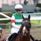 JRA 一歩間違えれば……チャンピオンズC(G1)優勝テーオーケインズを襲った真夏の「悲劇」 痛ましい事故を乗り越えて掴んだ“帝王の座”