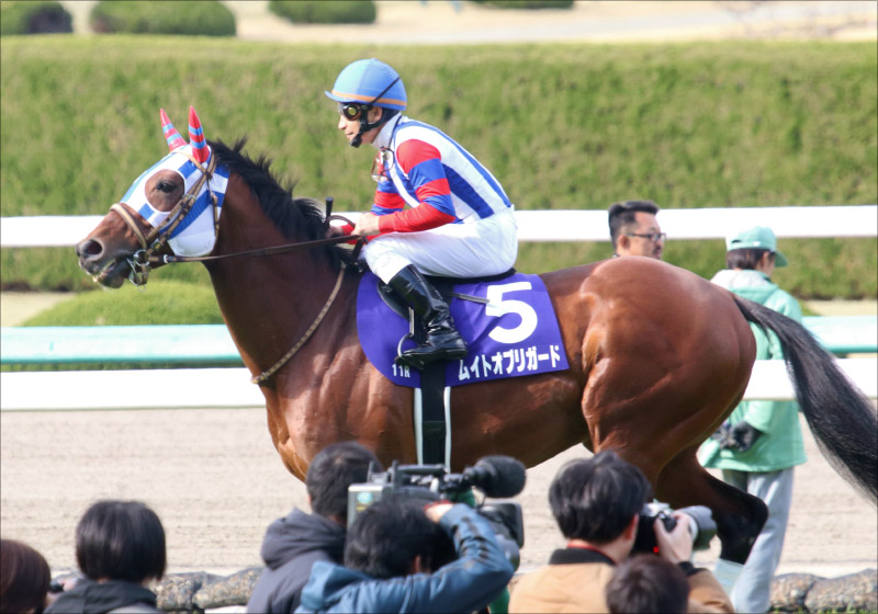 JRAジャパンC(G1)栗東から「ユーキャンスマイル絶好調」情報!? ルメールで参戦の「アノ馬」にも朗報がの画像2