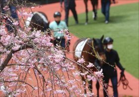 JRA桜花賞（G1）栗東から「レシステンシア完全復活」との一報が!?　 リアアメリア、ウーマンズハートの「とっておき情報」も……
