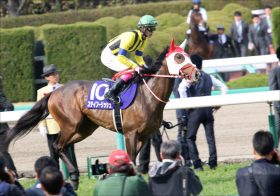 JRA「G3なら…」ステイフーリッシュ函館記念は好走必至？