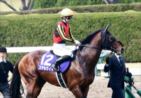 JRA京都金杯（G3）唯一のG1馬ステルヴィオは「もう終わった」のか？ ロゴタイプも歩んだ、ダート失敗を経た復活の可能性