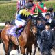 JRA札幌記念(G2)「本質夏馬?」サングレーザーがG1馬を一蹴連覇の可能性