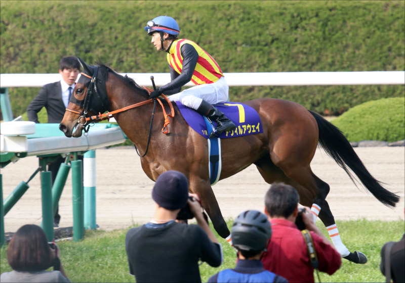 JRA「皮算用」川田将雅もがっくり……!? CBC賞(G3)アウィルアウェイ「秋へ大事な一戦」も、陣営のトーンが上がらない理由の画像2