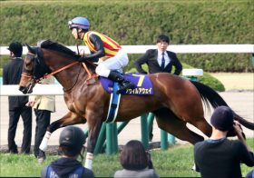 JRA兄インディチャンプに続け！ 古馬になって本格化の「晩成型」はこれからが本番!?