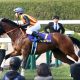JRA京都牝馬S(G3)「京都の鬼」サウンドキアラ2020年「重賞最多勝」松山弘平が連勝決める!?