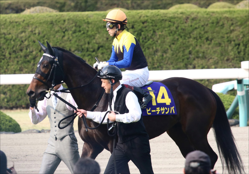 【阪神牝馬S(G2)展望】2歳女王ダノンファンタジーVS重賞連勝サウンドキアラ激突! ヴィクトリアマイルに向けて強豪が集結の画像3