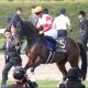 JRA グランアレグリア回避に「ルメール・ファースト」の声!? ヴィクトリアマイル(G1)アーモンドアイとの初対決は……