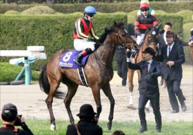 JRA藤沢和雄まさかの「距離誤認」疑惑!? マイルCS（G1）グランアレグリア「使うところ間違えた」来年のビッグタイトル言及の裏事情とは