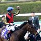 JRA マイルCS(G1)安藤勝己氏VS細江純子氏、ダノンザキッドの見解で元ジョッキーの見解が真っ二つ!? 悩める2歳王者の「真の姿」は……