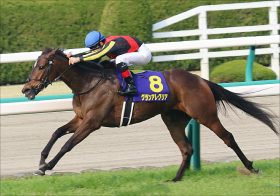 JRAマイルCS（G1）グランアレグリアに「死角」あり!? 人気馬総崩れエリザベス女王杯で明暗を分けた原因から浮上するのは