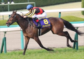 JRAスプリンターズS（G1）に超豪華メンバー集結！グランアレグリア VSインディチャンプが激突する秋のG1開幕戦に大注目