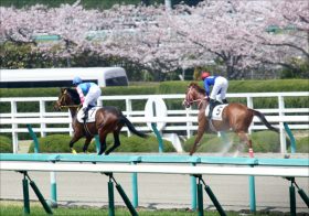 JRA大阪杯（G1）で4着まで独占「ディープインパクト系」。桜花賞（G1）も波乱を呼ぶのは「孫世代」？