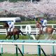 JRA 福永祐一コントレイル敗戦で「誤算続き」の春到来!? 桜花賞(G1)ファインルージュで「連敗トンネル」脱出に望み