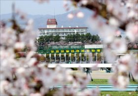 JRA【桜花賞（G1）枠順確定】武豊×レシステンシア、C.ルメール×サンクテュエールらの気になる枠は？
