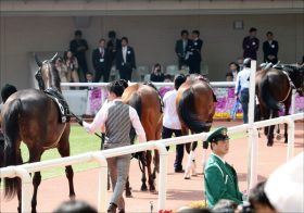 JRA M.デムーロ確保も桜花賞（G1）アールドヴィーヴルに暗雲……今野貞一調教師「思っていたより減った」から、さらなる「馬体減」の不安