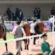 JRA最強良血馬ついに初陣! フランケル×デインドリームの不安要素