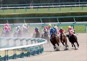 JRAマリーンS（OP）タイムフライヤーを超える激走馬発見!? “鉄板級”シークレットネタを使い「3点」で攻略!?