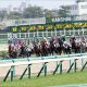 JRA朝日杯FS(G1)ジオグリフ「凡走」は必然だった!? “ルメール忖度” から「距離が延びたら大丈夫」に致命的な采配ミスの匂い
