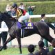 JRA天皇賞・秋(G1)に「〇〇の法則」発見! 直近5年間で発動中……今年はアノ馬が該当で「大荒れ」必至!?