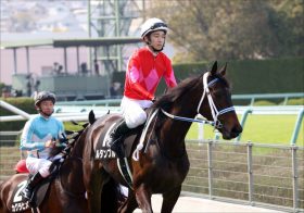 JRA「勝ち馬が強過ぎた」武豊も白旗!? デアリングタクトがエルフィンS圧勝で打倒レシステンシアに名乗り