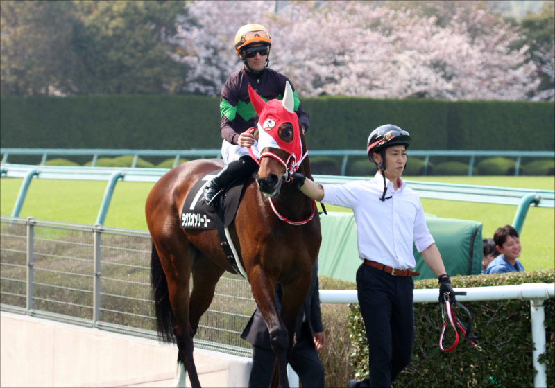 JRA【京都記念(G2)展望】武豊×ワグネリアンVS川田将雅×ラヴズオンリーユー!クラシックホース2頭が新コンビを迎え初対決! の画像2