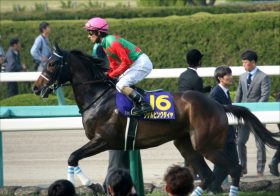 JRAシゲルピンクダイヤ「最強の1勝馬」返上なるか!? アノ馬との生涯賞金額まであとわずか……、クイーンS（G3）の走りに注目
