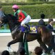 JRA クイーンS(G3)川田将雅ドナアトラエンテは「消し」! 函館開催Bコース替わりでイン強襲狙う「◎」は……