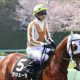 JRA武豊「過去6年で3勝」得意レースで出るか“代打HR”!? コントレイルに“先着”バスラットレオンは巻き返し図る【ラジオNIKKEI杯京都2歳S(G3)展望】