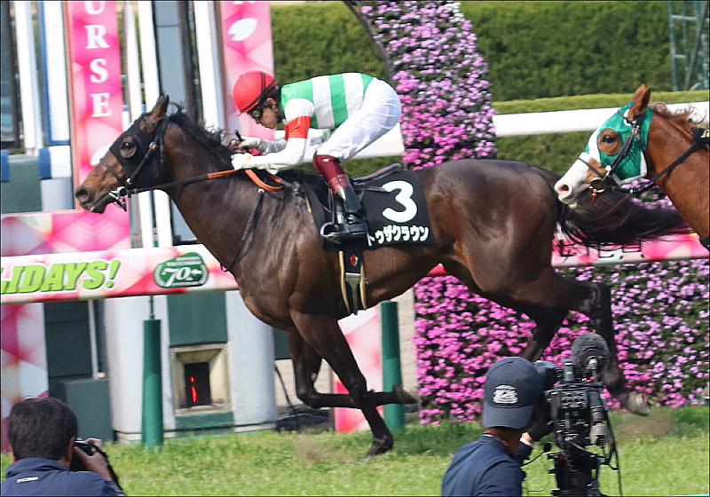 JRAスワンS（G2）は関係者情報決め打ち2点！ モズアスコットより期待したい「爆走不人気馬」の画像2