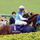 JRA「無観客」でサートゥルナーリア無双!? 金鯱賞(G2)へ「落ち着いて走ることができれば」最大のネック気性難に僥倖……