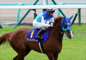 JRA「死去」近藤利一さんに捧げるアドマイヤマーズ復活！ 18年ぶり「4戦3勝」香港に吹き荒れた日本旋風！【香港国際競走・総括回顧】