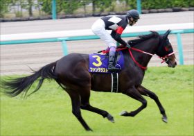 【北九州記念（G3）展望】武豊ファンタジストも恐れる「5連勝」ディアンドル！ 灼熱の小倉豪華短距離決戦