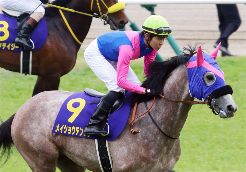 JRA天皇賞・春(G1)ユーキャンスマイルに「勝負気配」!? 東西有力馬の情報をお蔵出し!!の画像2
