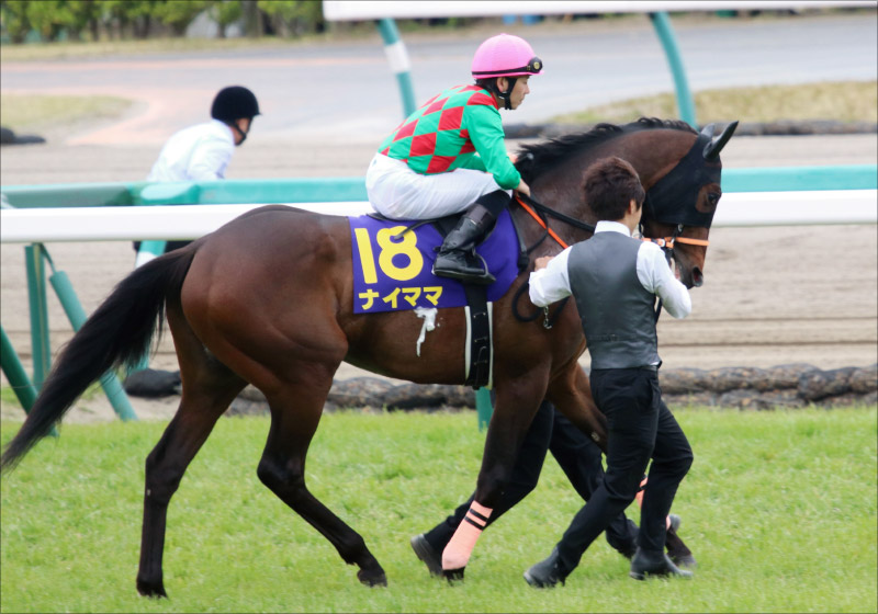 JRAセントライト記念(G2)に「鉄級の◎」を発見! 関係者「極秘ネタ」から「小点数」で勝負!!の画像4