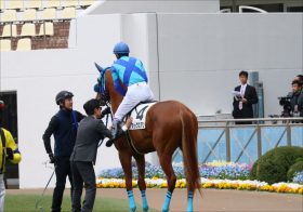 JRAノーザンファームは走る馬を「お見通し」!? 話題のマラソン馬が今年も決定。リスグラシュー、シンハライト、ハープスターを輩出した「一口馬主権」対象馬は