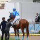 JRA ノーザンファーム「14年ぶり」屈辱からの大逆襲! 絶対王者の底力を見せつけた快進撃…… コントレイル、デアリングタクトに降りかかる脅威