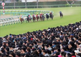 JRAオーシャンS（G3）上昇気配のレジーナフォルテが「大崩れなく走る得意な舞台」で台風の目に!?