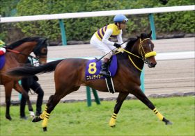 JRAセントライト記念（G2）に「鉄級の◎」を発見！ 関係者「極秘ネタ」から「小点数」で勝負!!