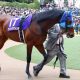 JRAアリストテレスに渡された負のバトン!? 阪神大賞典(G2)断然人気馬を襲った魔物が忍び寄る負けられない戦い