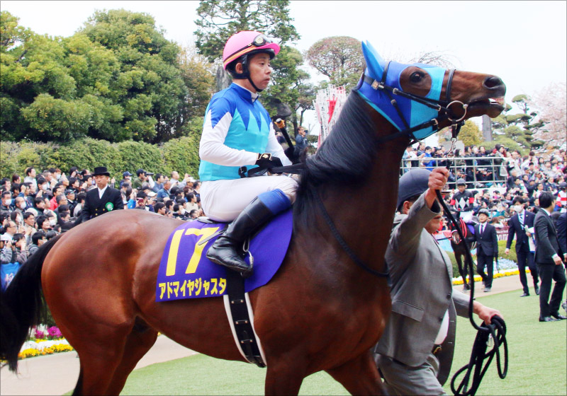 競馬ポスターB1：エリモハリアー 「2014年 第50回 函館記念」 ZBAT写真館】エリモハリアー - サンスポZBAT!