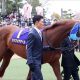 JRA大阪杯アーモンドアイら参戦で「史上最強」レベルに!? 「新型コロナ余波」ドバイ延期(中止)可能性浮上で
