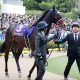 JRAセントウルS(G2)最下位アンヴァル「レース前」から予兆発覚!? 6番人気も大差シンガリ負け……レース後、熱中症発表に問われる管理体制