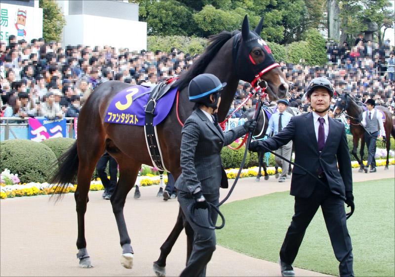 JRAセントウルS(G2)「武豊→和田竜二」ファンタジストに現場ネタで有力情報! 決意の1点勝負の画像1