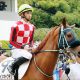 JRA天皇賞・春(G1)フィエールマンに並ぶ「軸馬発見」!? 有力馬に「不安あり」強力現場情報をもとに三連単「6点」で攻略!