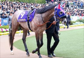 JRA「10年越し」の悲願達成へ！ 天皇賞・春（G1）メイショウテンゲンは母の背中を知る男・幸英明とコンビ結成