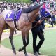JRAアリストテレスに渡された負のバトン!? 阪神大賞典(G2)断然人気馬を襲った魔物が忍び寄る負けられない戦い
